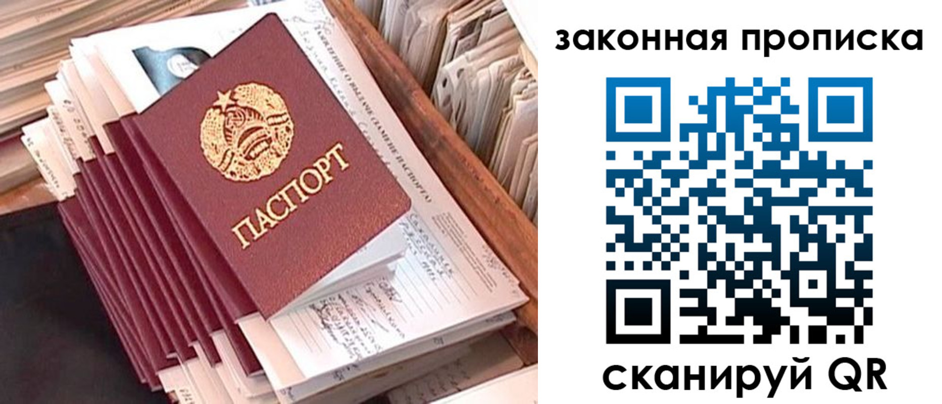 прописка ребенка в Щёлково